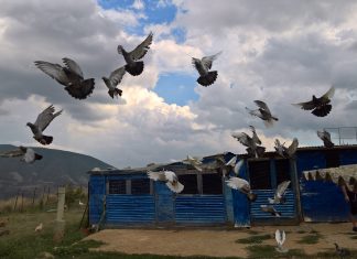ΕΚΠΛΗΞΗ … Η ΣΙΑΤΙΣΤΑ ΕΧΕΙ ΤΕΛΙΚΑ ΤΡΕΙΣ ΣΥΝΟΙΚΙΕΣ … ??? ΔΕΙΤΕ ΤΟ ΒΙΝΤΕΟ …