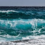 thalassa.jpg