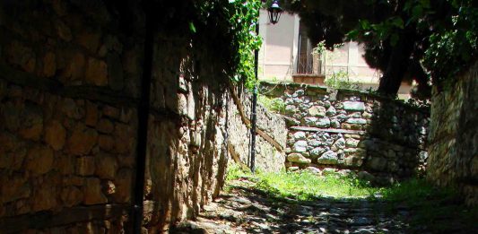Γι’ αυτό πρέπει να βάζετε ένα βαμβάκι στα σκουπίδια