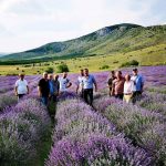 IMG-49c4a8969bea434f95c70d0816f6153b-V