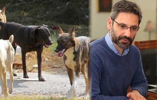Μας έχουν καταραστεί τέσσερις μέρες χιλιάδες κόσμος από όλη την Ελλάδα … Οι άνθρωποι είναι ψυχανώμαλοι .