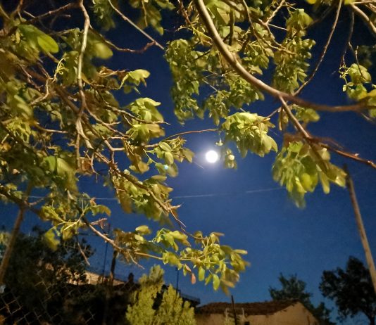 Εταιρεία με Έλληνες επιστήμονες “φρέναρε” τον κορονοϊό! “Καλύτερα αποτελέσματα κι από τα εμβόλια”-Επικεφαλής της έρευνας ο Κοζανίτης Χρήστος Κυρατσούς