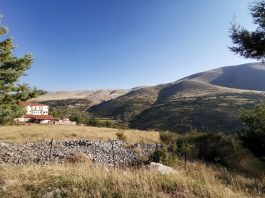 Γώγος: Η κατάσταση είναι κρίσιμη -Πιθανά τοπικά lockdown και αναβολή έναρξης της σχολικής χρονιάς