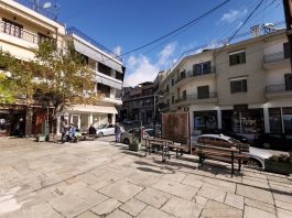 12 κρούσματα στην Π.Ε. Κοζάνης, 2 κρούσματα στην Π.Ε. Καστοριάς, 2 κρούσματα στην Π.Ε. Φλώρινας & 1 κρούσμα στην Π.Ε. Γρεβενών