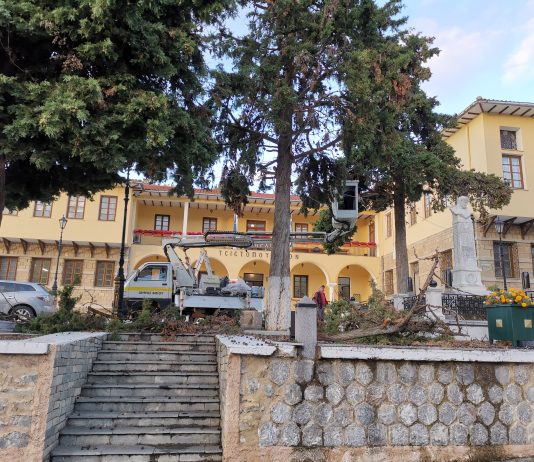 Ο Δήμαρχος Βοΐου Χρήστος Ζευκλής για Lookdown και τα σχολεία …