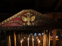 18 κρούσματα στην Π.Ε. Κοζάνης – 61 κρούσματα στην Π.Ε. Φλώρινας – 11 κρούσματα στην Π.Ε. Καστοριάς – 26 κρούσματα στην Π.Ε. Γρεβενών