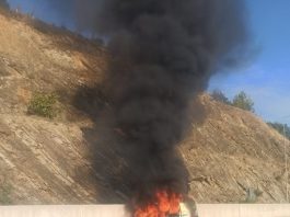 Εγνατία Οδός: Όχημα τυλίχθηκε στις φλόγες, μεταξύ Βέροιας – Κοζάνης – Ειδοποιήθηκε κι επενέβη η πυροσβεστική κι έσβησε τη φωτιά (Φωτογραφίες & Βίντεο)