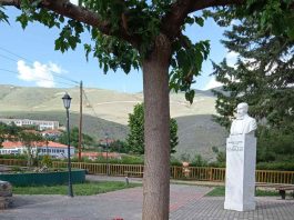 ΣΙΑΤΙΣΤΑ – ΕΠΕΙΣΟΔΙΟ ΜΕ ΔΕΣΠΟΖΟΜΕΝΑ ΣΚΥΛΙΑ ….
