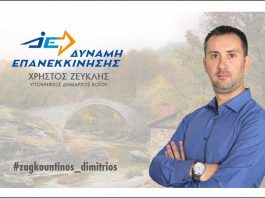 Δημήτρης Ζαγκουντίνος – Νεολαία και Πολιτική: Αναζητώντας τον Δρόμο της Συμμετοχής. Πρόταση Σύστασης Δημοτικού Συμβουλίου Νεολαίας.