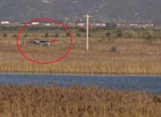 Πώς βρέθηκε η σορός του Μπάμπη – Ειδικά εκπαιδευμένος σκύλος εντοπισμού πτωμάτων βρήκε τη σορό του