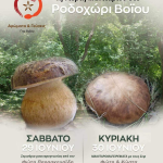 image-47