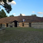 image-17