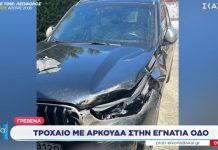 #ΑΡΚΟΥΔΑ μέσα στην #ΕΓΝΑΤΊΑ – ΒΙΝΤΕΟ – ΟΛΑ ΤΑ ΝΕΑ !!