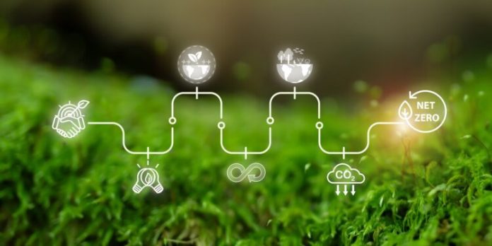 Journey,To,Net,Zero,,Sustainability,Concept.,The,Stages,Of,Achieving